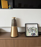 B&O【龔俊代言】Beosound 2 3rd 藍牙音響  bo音響 丹麥家用低音炮 3D環(huán)繞桌面音箱 節日禮物 金色 曬單實(shí)拍圖