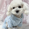 嬉皮狗（hipidog）小狗狗棋盤(pán)格小熊滿(mǎn)印四腳衣泰迪比熊小型幼犬秋冬季保暖寵物棉衣 邦迪藍 S（建議體重3-5斤） 曬單實(shí)拍圖