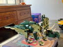 樂(lè )高（LEGO）積木拼裝31151 霸王龍男孩女孩兒童玩具生日禮物裝飾擺件 曬單實(shí)拍圖
