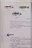 海錯圖筆記青少年版 中國國家地理博物君無(wú)窮小亮張辰亮科普讀物 海洋生物圖書(shū)百科生物圖鑒 張辰亮著(zhù) 曬單實(shí)拍圖