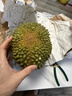京東超市馬來(lái)西亞新鮮黑刺榴蓮D200液氮冷凍水果3.5-4.0斤 源頭直發(fā) 曬單實(shí)拍圖