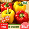 山東五彩椒生吃涼拌水果燈籠椒紅辣椒新鮮甜圓椒蔬菜青椒脆甜多汁 凈重3斤單果100g+【泡沫箱保鮮】 曬單實(shí)拍圖