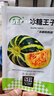 壽禾 各種甜瓜種子大全幼苗香瓜脆老品種家庭種植陽(yáng)臺盆栽水果籽秧苗 冰糖子甜瓜種子 100粒原裝 曬單實(shí)拍圖