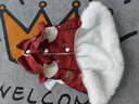 嬉皮狗（hipidog）貓咪衣服江山如畫(huà)四腳新年唐裝棉衣布偶秋冬加厚保暖中式寵物衣服 德羅紅 S （建議體重3-5斤） 曬單實(shí)拍圖