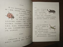 昆蟲(chóng)備忘錄 汪曾祺著(zhù) 三年級下冊 人教版課文作家作品系列 語(yǔ)文教材配套讀物 同名作品收入中小學(xué)語(yǔ) 曬單實(shí)拍圖