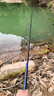千峰劍魚(yú)竿手竿套裝釣魚(yú)竿裝備全套一套超輕溪流桿短節海竿品牌漁具用品 4.5m +3.6米+釣魚(yú)禮包 曬單實(shí)拍圖
