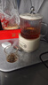 米絨鼠辦公室養生壺小型mini燒水花茶煮茶壺迷你全玻璃煮茶器恒溫禮品 養生壺【觸摸款】 0.8L 曬單實(shí)拍圖