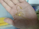 周六福（ZLF）  黃金手鏈女款足金999閃砂花朵四葉草手串 計價(jià) 16+3cm尾鏈 - 2.2g 曬單實(shí)拍圖