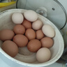 好念頭可生食鮮雞蛋 72枚6斤無(wú)抗生素無(wú)腥味優(yōu)于散養農家土雞蛋源頭直發(fā) 曬單實(shí)拍圖