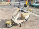 雅迪電動(dòng)摩托車(chē) G20-M電動(dòng)車(chē)60V20Ah鉛酸電池長(cháng)續航電輕摩長(cháng)途通勤時(shí)尚男女摩托車(chē)電瓶車(chē) 奶油白 曬單實(shí)拍圖