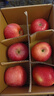 靜寧蘋(píng)果甘肅紅富士蘋(píng)果一級果當季新鮮蘋(píng)果脆甜源頭直發(fā)包郵 試吃裝6枚裝小果果徑70mm 曬單實(shí)拍圖