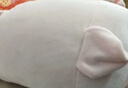 名創(chuàng  )優(yōu)品（MINISO）小豬B-BO彈力超柔趴姿毛絨公仔玩具玩偶抱靠枕娃娃送禮生日禮物女 曬單實(shí)拍圖