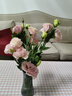 無(wú)刺玫瑰洋桔梗鮮切花插花捧花家庭水養云南昆明直發(fā)20-30個(gè)花苞 肉粉 曬單實(shí)拍圖