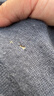 恒源祥100%山羊絨衫男士圓領(lǐng)保暖冬季厚款毛衣15381797 蘭灰 170/88A  曬單實(shí)拍圖