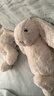 Jellycat芙絨淺褐色邦尼兔毛絨玩具娃娃玩偶送禮生日禮物2026春夏新品 淺褐色 Small 曬單實(shí)拍圖