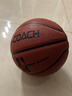 中考比賽訓練籃球室內外水泥地真皮7號6號5學(xué)生兒童耐磨高彈籃球 6號【紅棕色】中考專(zhuān)用 曬單實(shí)拍圖