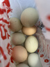 楚逸禾  散養五彩土雞蛋蟲(chóng)草蛋當日新鮮雞蛋破損包賠 【五彩土雞蛋40枚】 【生態(tài)林下養殖】 曬單實(shí)拍圖