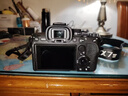 索尼（SONY）Alpha 7 IV 全畫(huà)幅微單相機 專(zhuān)業(yè)級創(chuàng  )意外觀(guān)濾鏡4K視頻vlog拍攝 單機身（ILCE-7M4/A7M4） 曬單實(shí)拍圖