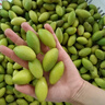 潮汕特產(chǎn)  現摘生吃香種青黃橄欖生吃甘香濃郁泡酒孕婦煲湯去胎毒 新鮮摘【2斤裝】 曬單實(shí)拍圖