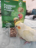 寵尚天 豪華虎皮鸚鵡鳥(niǎo)糧天然營(yíng)養谷子鳥(niǎo)食玄鳳文鳥(niǎo)牡丹鳥(niǎo)食900g 曬單實(shí)拍圖