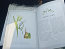 預訂 The Botanical Shoes: A Collection of Botanical Shoe Paintings in Watercolour and Words: 978180 曬單實(shí)拍圖