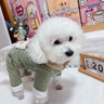 嬉皮狗（hipidog）狗狗衣服加厚絎棉口袋牽引四腳棉衣小型幼犬雪納瑞西高地寵物衣服 蒂安綠 M （建議體重5-8斤） 曬單實(shí)拍圖