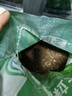 多肉土專(zhuān)用營(yíng)養土肉肉顆粒土植物種植土鋪面石葉插家用泥炭土大包 【70%顆?！慷嗳馔?斤 曬單實(shí)拍圖