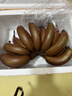 粵品廣西紅皮香蕉2026紅美人蕉當季新鮮網(wǎng)紅孕婦水果整箱 紅皮香蕉5斤 曬單實(shí)拍圖