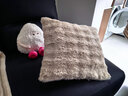 兔毛泡泡絨抱枕沙發(fā)高級感客廳靠枕辦公室靠背秋冬季床頭靠墊 兔毛絨-暖咖色 45cm*45cm 枕套 +枕芯 曬單實(shí)拍圖