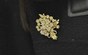 鹿珊伍胸針女秋冬高端精致時(shí)尚胸花高級感輕奢西裝毛衣大衣別針款 發(fā)財樹(shù)胸針【金色】 曬單實(shí)拍圖