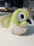 捉趣叉尾太陽(yáng)鳥(niǎo)毛絨玩具可愛(ài)小鳥(niǎo)公仔睡覺(jué)抱枕女孩小玩偶娃娃禮物 暗綠繡眼鳥(niǎo) 全長(cháng)約11cm 曬單實(shí)拍圖