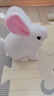 雅斯妮兒童玩具仿真動(dòng)物電動(dòng)寵物小兔子玩偶會(huì )動(dòng)會(huì )叫3-6歲新年生日禮物 曬單實(shí)拍圖
