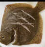 新鮮多寶魚(yú)海鮮水產(chǎn)鮮活冷凍比目魚(yú)蝶魚(yú)大海魚(yú)便宜特大魚(yú)類(lèi)凈重 肉多刺少 鮮捕多寶魚(yú)/條 450g 三條實(shí)惠裝 曬單實(shí)拍圖