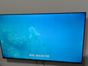 Vidda R Pro 55英寸 海信電視 144Hz高刷抗反光 無(wú)倒影低反屏 以舊換新國家補貼液晶電視機55VR1S-PRO 曬單實(shí)拍圖