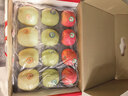 洛川蘋(píng)果陜西延安25年新品種蘋(píng)果水果禮盒水果生鮮送禮 三色果混裝12枚 輕奢禮盒 【推薦】 曬單實(shí)拍圖