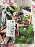 觀(guān)葉植物圖鑒：500種室內綠植養護指南 曬單實(shí)拍圖