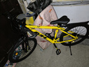 TLXT日本原裝進(jìn)口品質(zhì)全碳纖維自行車(chē)山地自行車(chē)變速雙碟剎越野減震山 Pro70-琥珀黃 24英寸 21速 曬單實(shí)拍圖