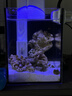 琦趣海缸珊瑚燈深海光譜含UV激發(fā)熒光蛋白高亮透鏡升級智能珊瑚魚(yú)缸燈 HS-F860海缸燈8W +電源【適用15-25缸】 曬單實(shí)拍圖