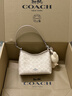 蔻馳（COACH）【禮物】奧萊女士女包經(jīng)典標志LAUREL 19號單肩包流浪包通勤 SV/沙黃色/灰褐色 曬單實(shí)拍圖