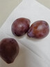 頂掌柜澳洲進(jìn)口西梅5斤新鮮應當季水果甜蜜法蘭西李子孕婦禮盒順豐包郵 3斤 25-30g （大果）商超級【順豐/京東】 曬單實(shí)拍圖