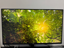 泰坦軍團 31.5英寸大屏 2304分區 MiniLED 4K 160Hz 雙模320Hz DyDs技術(shù) 廣色域專(zhuān)業(yè)電競顯示器 P326MV MAX 曬單實(shí)拍圖