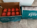 青怡陜西特產(chǎn)洛川紅富士時(shí)令蘋(píng)果新鮮水果禮盒 源頭產(chǎn)地包郵直發(fā) 4.5斤【中大果】160g+ 曬單實(shí)拍圖