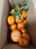 正宗廣西砂糖橘沙糖桔新鮮水果當季蜜桔桂林橘子貢柑整箱 帶箱5斤 凈重4.5斤 小果（30-40mm） 曬單實(shí)拍圖