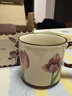 摩登主婦清倉馬克杯高顏值陶瓷水杯帶蓋家用創(chuàng  )意情侶咖啡杯子 復古馬克杯350ml-樹(shù)莓郁金香 曬單實(shí)拍圖