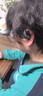韶音（SHOKZ）【李現同款】OpenFit 2+ T921 2025年新款開(kāi)放式掛耳式藍牙無(wú)線(xiàn)耳機運動(dòng)跑步騎行非骨傳導 巖黑 曬單實(shí)拍圖
