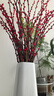 1.2米高 大紅色銀柳真花鮮枝年宵花卉水培植物干花落地銀柳室內裝 落地款紅色大銀柳1.2米高【40支】 曬單實(shí)拍圖