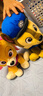 汪汪隊立大功（PAW PATROL）狗狗巡邏隊毛絨玩具男女孩可愛(ài)小狗玩偶公仔兒童節禮品生日禮物 汪汪隊毛絨-15-18cm小號阿奇 cm 曬單實(shí)拍圖