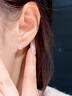 戚小米999足銀雪花耳釘女2025新款百搭純銀耳環(huán)輕奢高級感養耳洞耳飾品 【999足銀】雪花耳釘【直針款】 曬單實(shí)拍圖