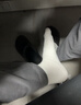SecretWorld襪子男款秋冬純棉中筒襪抑菌吸汗防臭黑色商務(wù)大碼厚保暖男士長(cháng)襪 曬單實(shí)拍圖