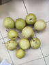 趙縣雪花梨正宗河北趙縣雪花梨新鮮水果產(chǎn)地直發(fā)新4 帶箱9斤凈重8.2斤單果150g起 曬單實(shí)拍圖